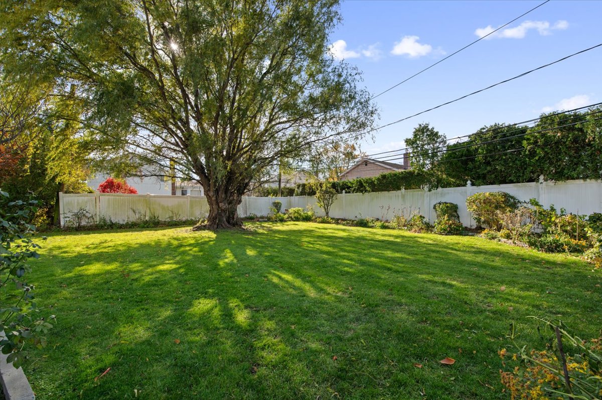 38-780_0655 38-780_0655